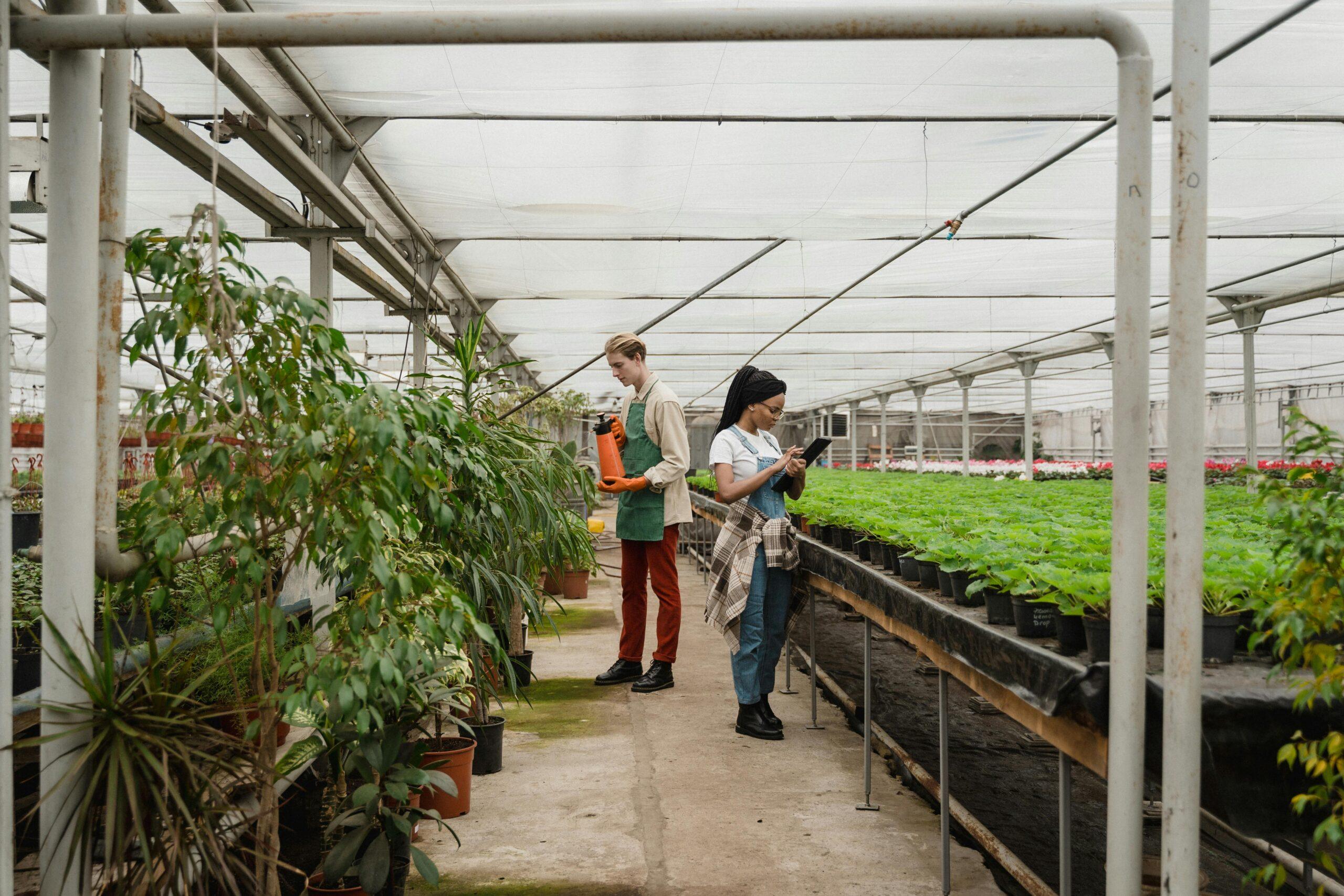 Jaki poliwęglan jest lepszy, komorowy czy lity? Poznaj zalety i zastosowania poliwęglanu komorowego
